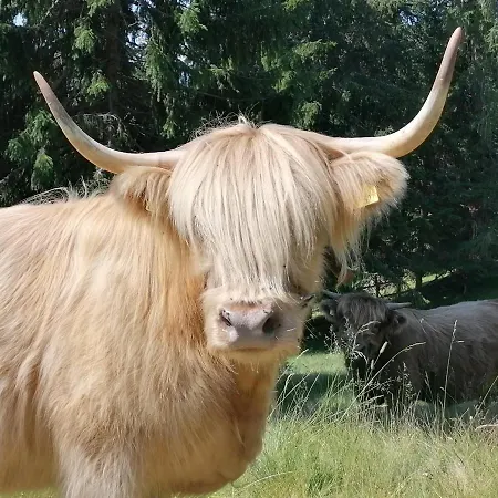 Holiday home Krametergut Sankt Michael im Lungau