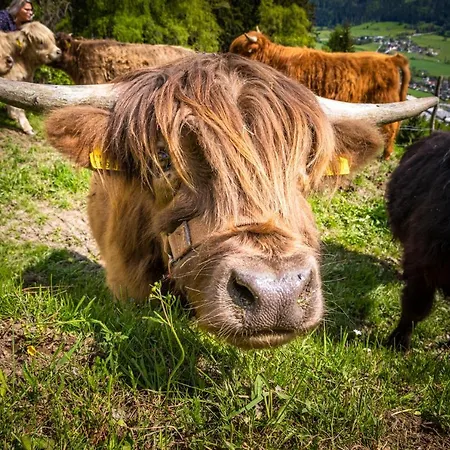 Krametergut Sankt Michael im Lungau