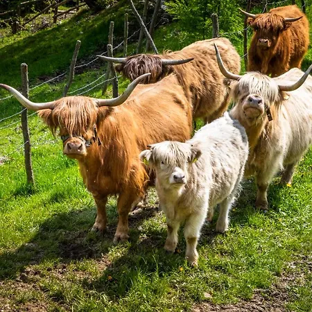Dom wakacyjny Krametergut St. Michael im Lungau
