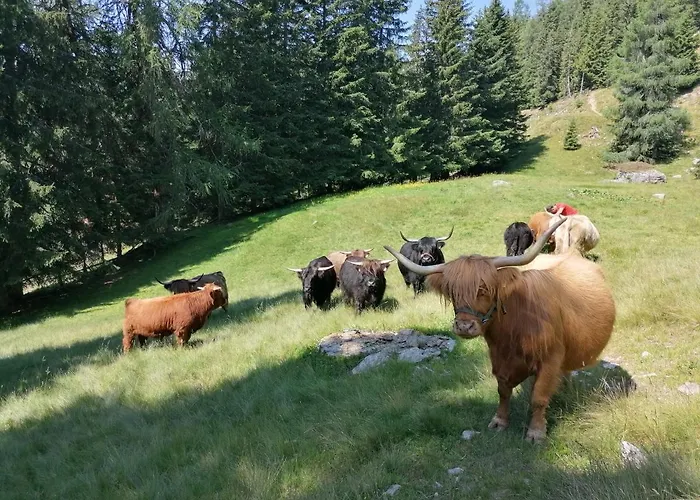 Krametergut * Sankt Michael im Lungau