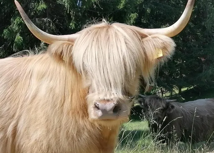Vakantiehuis Krametergut Sankt Michael im Lungau