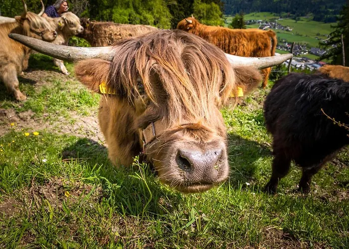 Krametergut Sankt Michael im Lungau