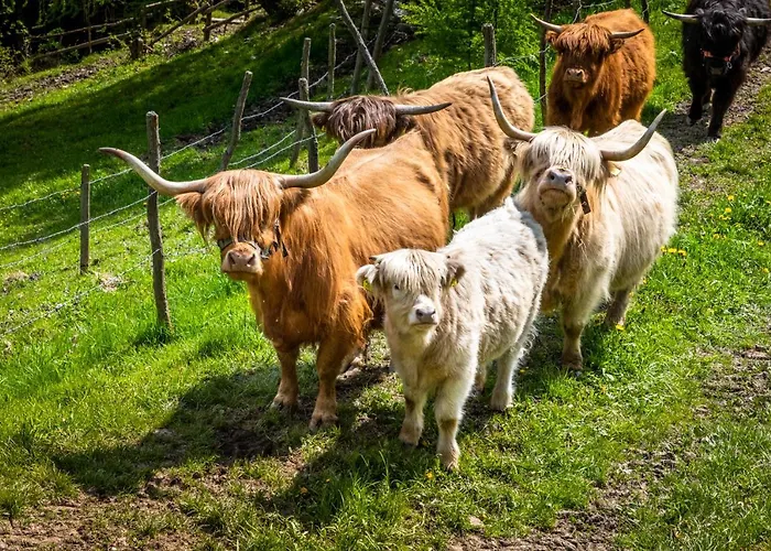 Vakantiehuis Krametergut Sankt Michael im Lungau